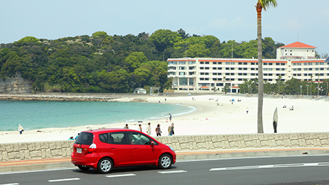 南紀白浜の光る海と温泉を目指して