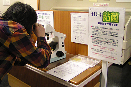 顕微鏡をのぞく女性