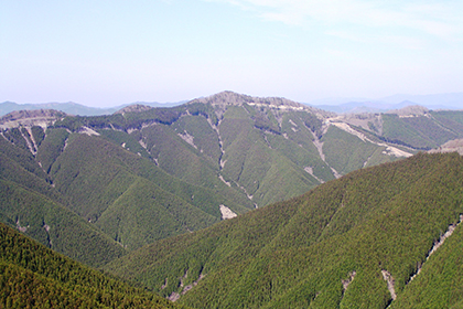 タワーからの景色